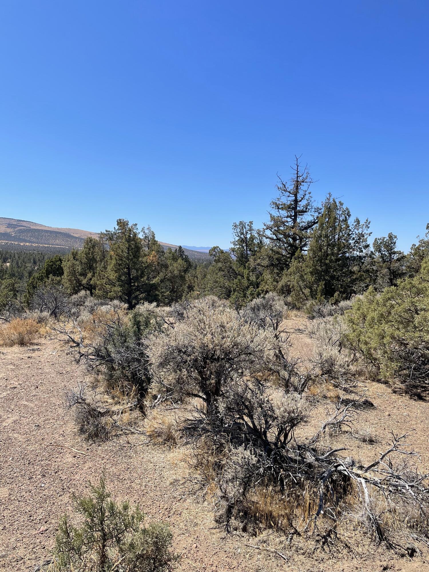 Juniper Acres - Land