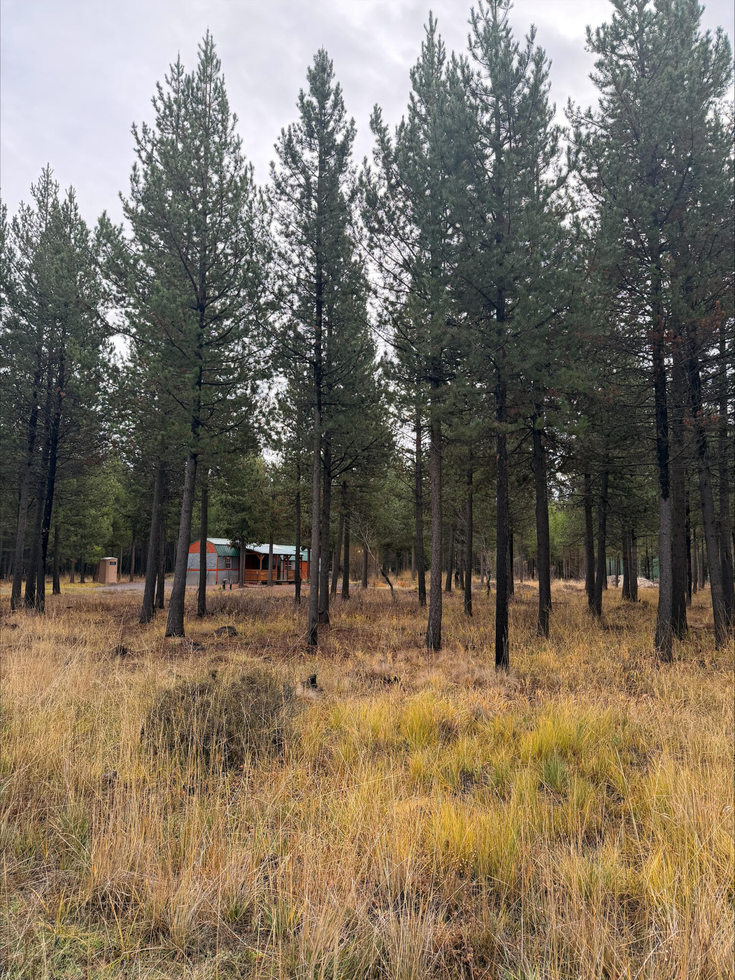 Deschutes River Recreation Homesites - Land