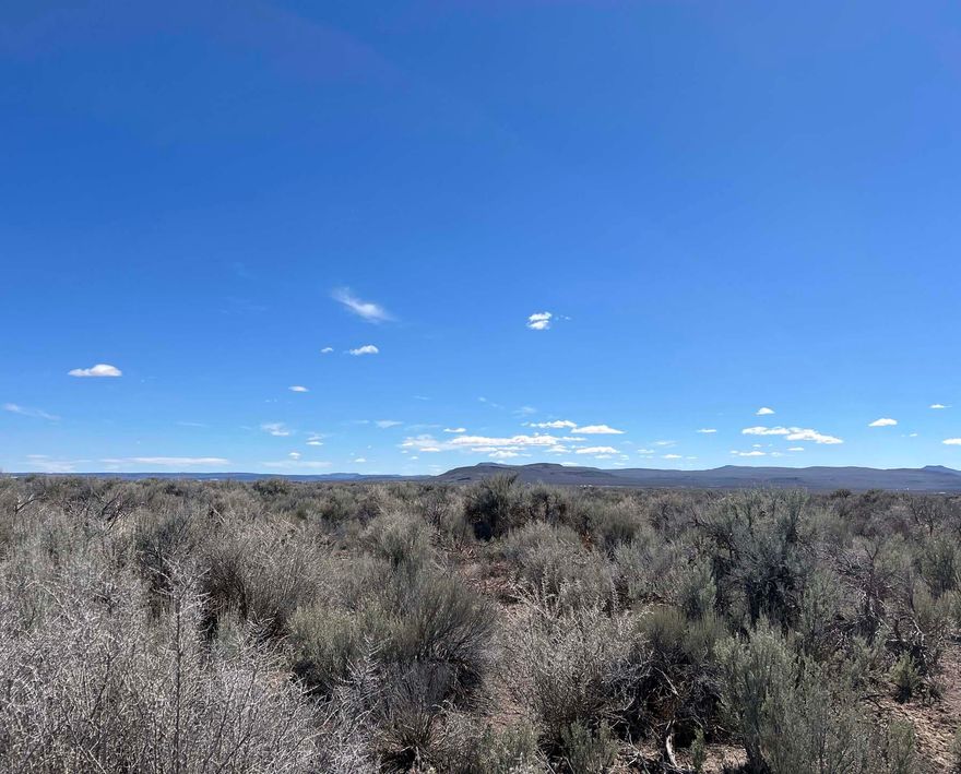 Embrace the opportunity on Langdon Springs Lane in Christmas Valley, Oregon, just east of the Christmas Valley Town Center. This remarkable 38.55-acre parcel is priced significantly below its real market value (RMV) and offers nearby power access. 

With vast Bureau of Land Management (BLM) public lands right across the road, your outdoor adventures await. This flat parcel, adorned with light brush, is the perfect canvas for building your dream home or creating your ideal recreational retreat. 

With two easy access points, this land serves as a gateway to tranquility and adventure. Seize this chance to create the lifestyle you've always envisioned!