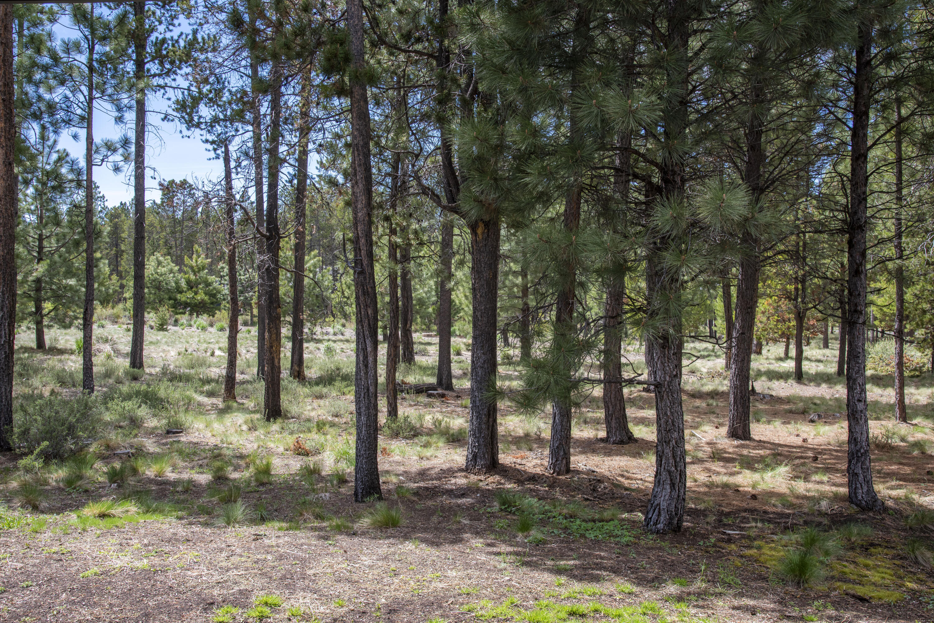 Caldera Springs - Residential