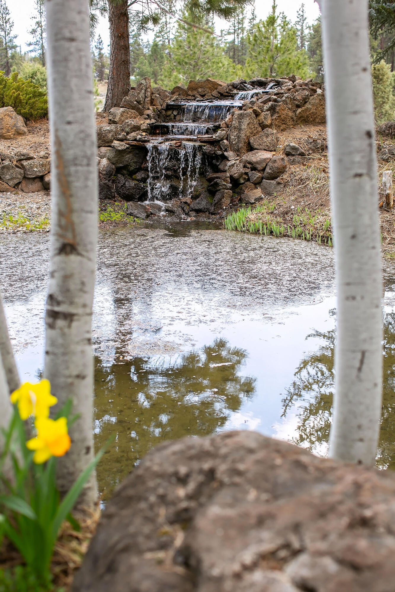 Barclay Meadows - Residential