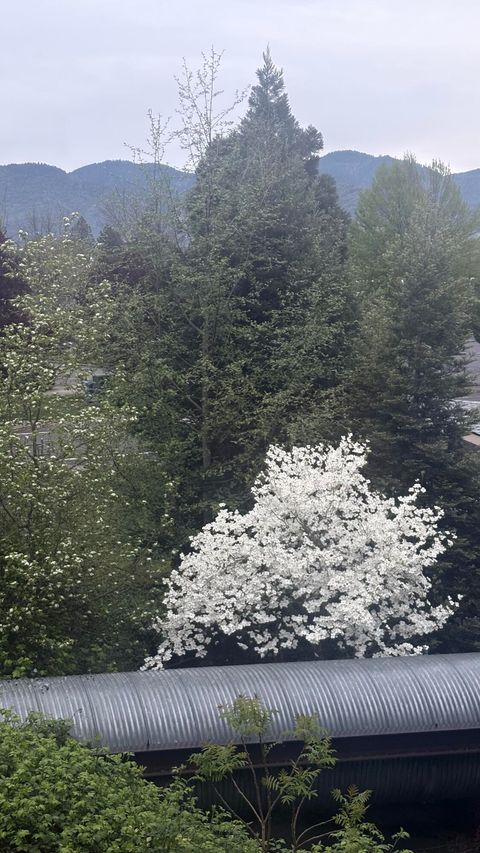 Tiny photo for 1827 SW Hungry Hill Drive, Grants Pass, OR 97527 (MLS # 220220125)