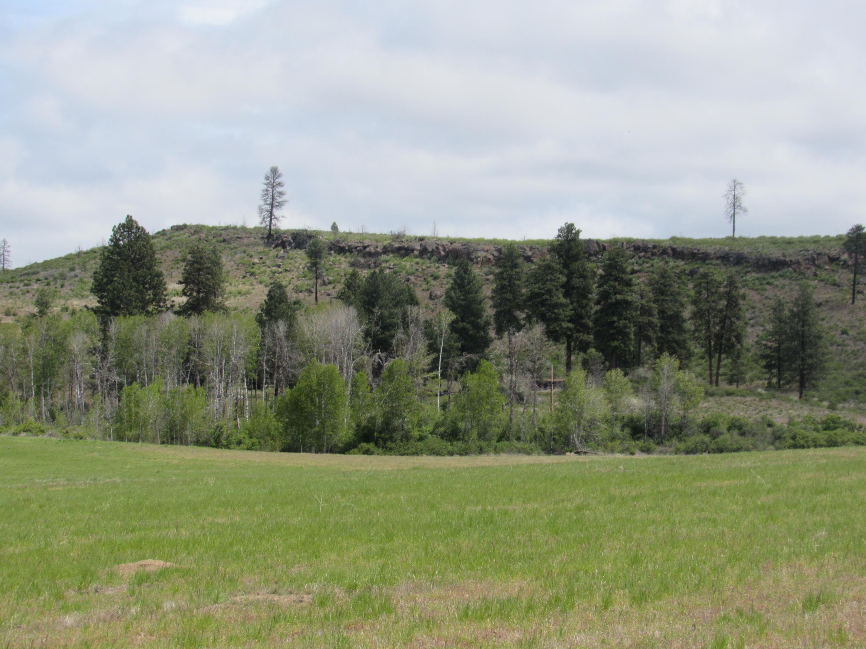 Agency Lake Ranches - Land