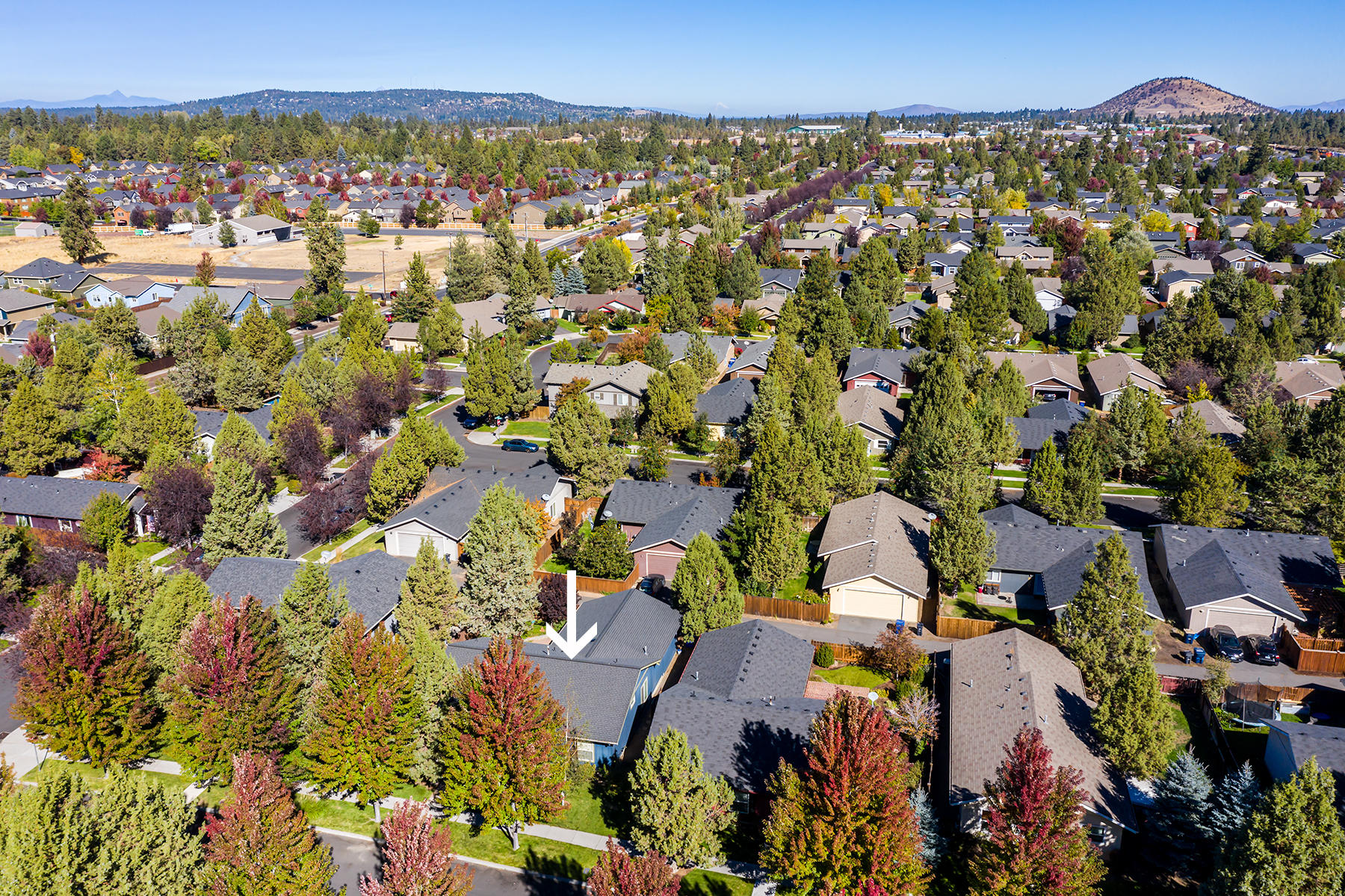 Larkspur - Residential