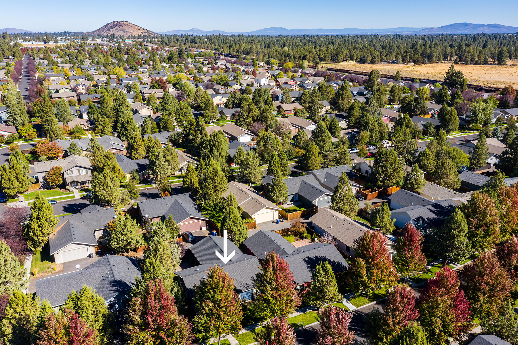 Larkspur - Residential