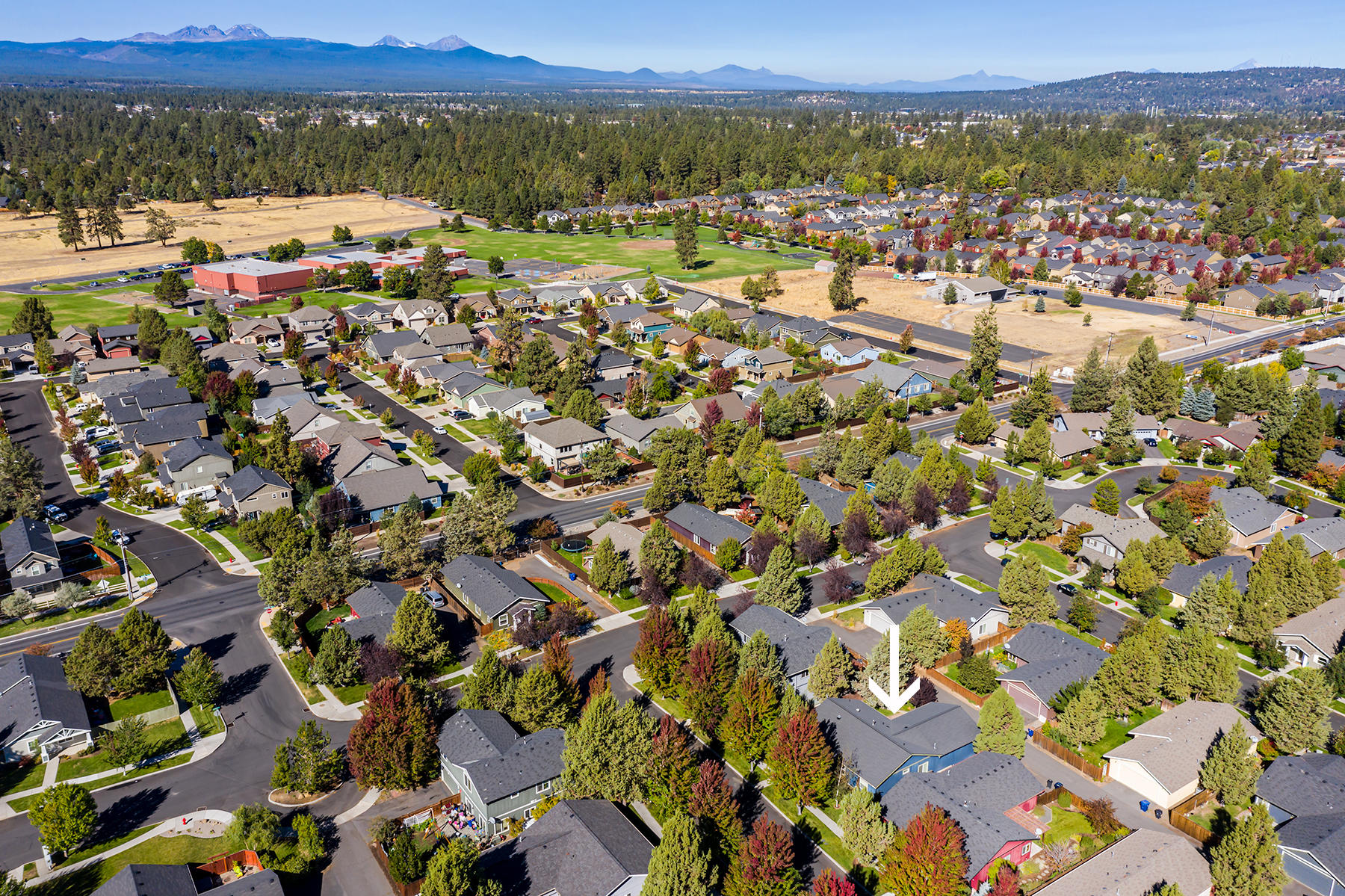 Larkspur - Residential