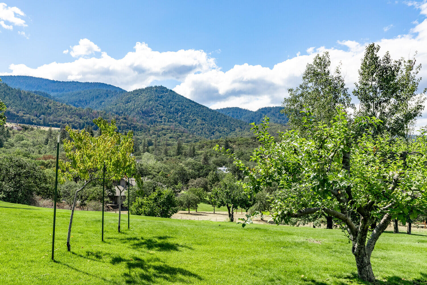 Sunny Oaks Subdivision - Residential