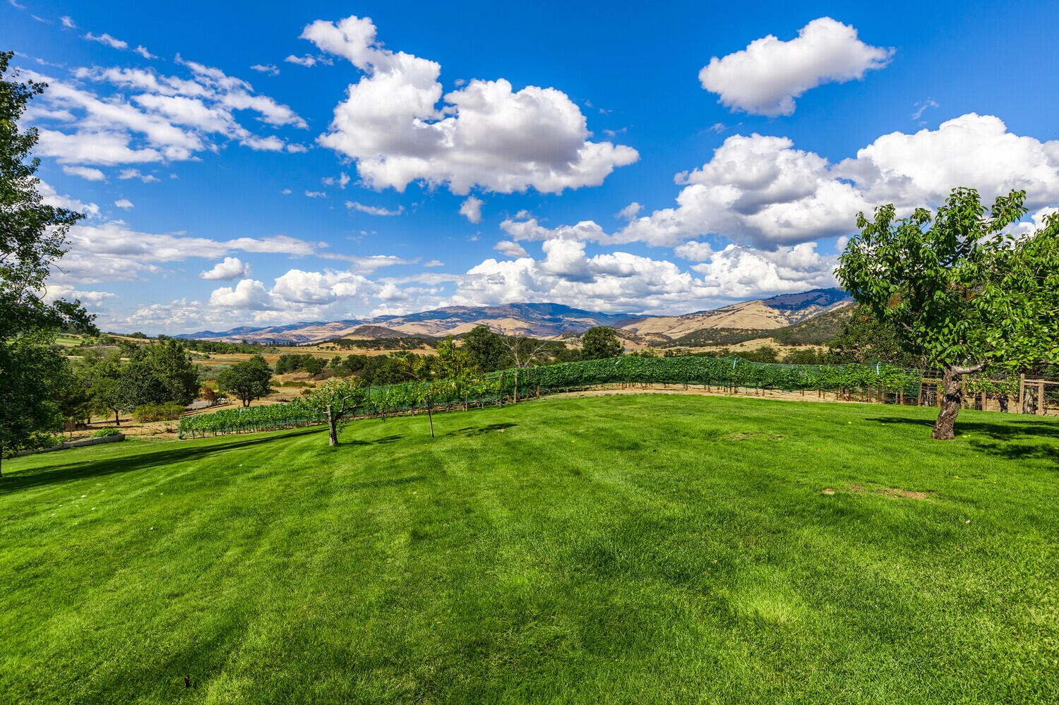 Sunny Oaks Subdivision - Residential