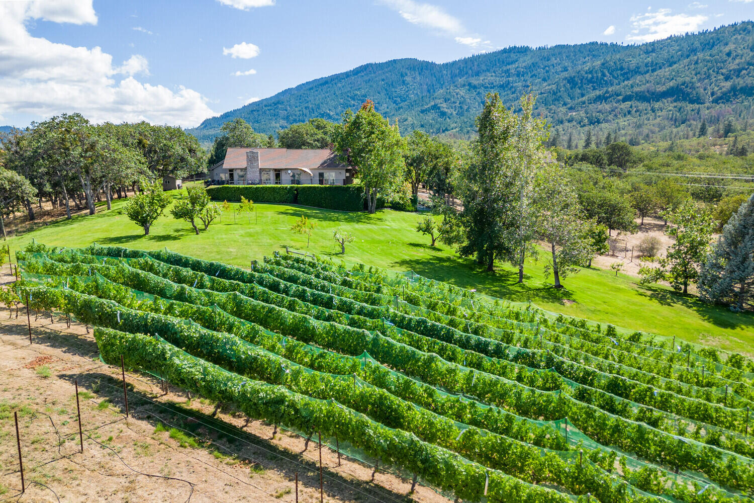 Sunny Oaks Subdivision - Residential