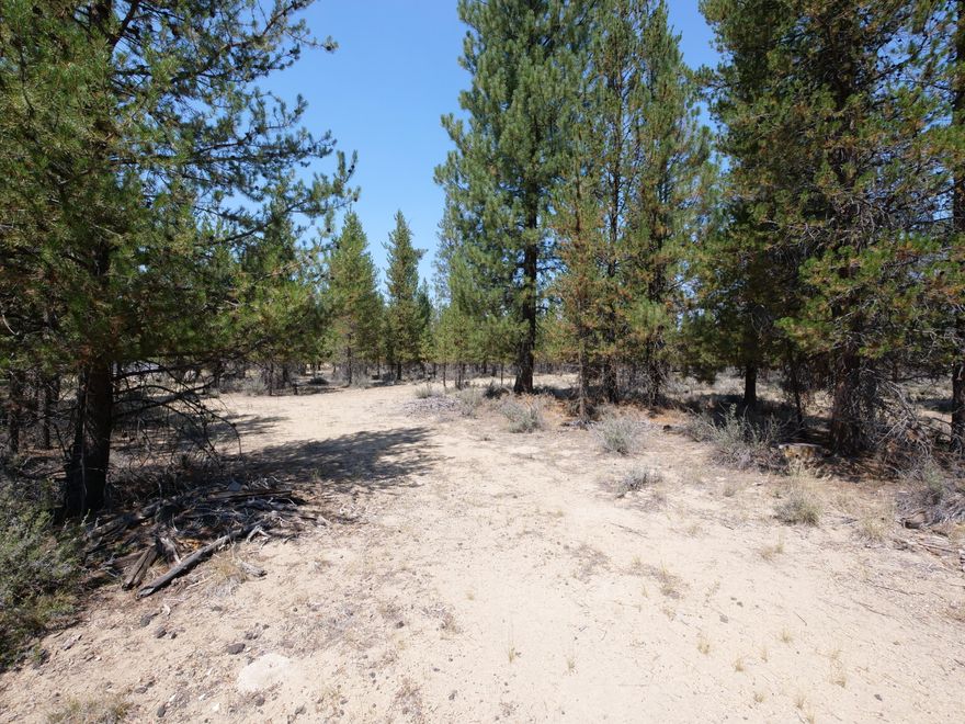Great neighborhood, nice building lot partially cleared and ready for your new home. Only Minutes from La Pine business District.