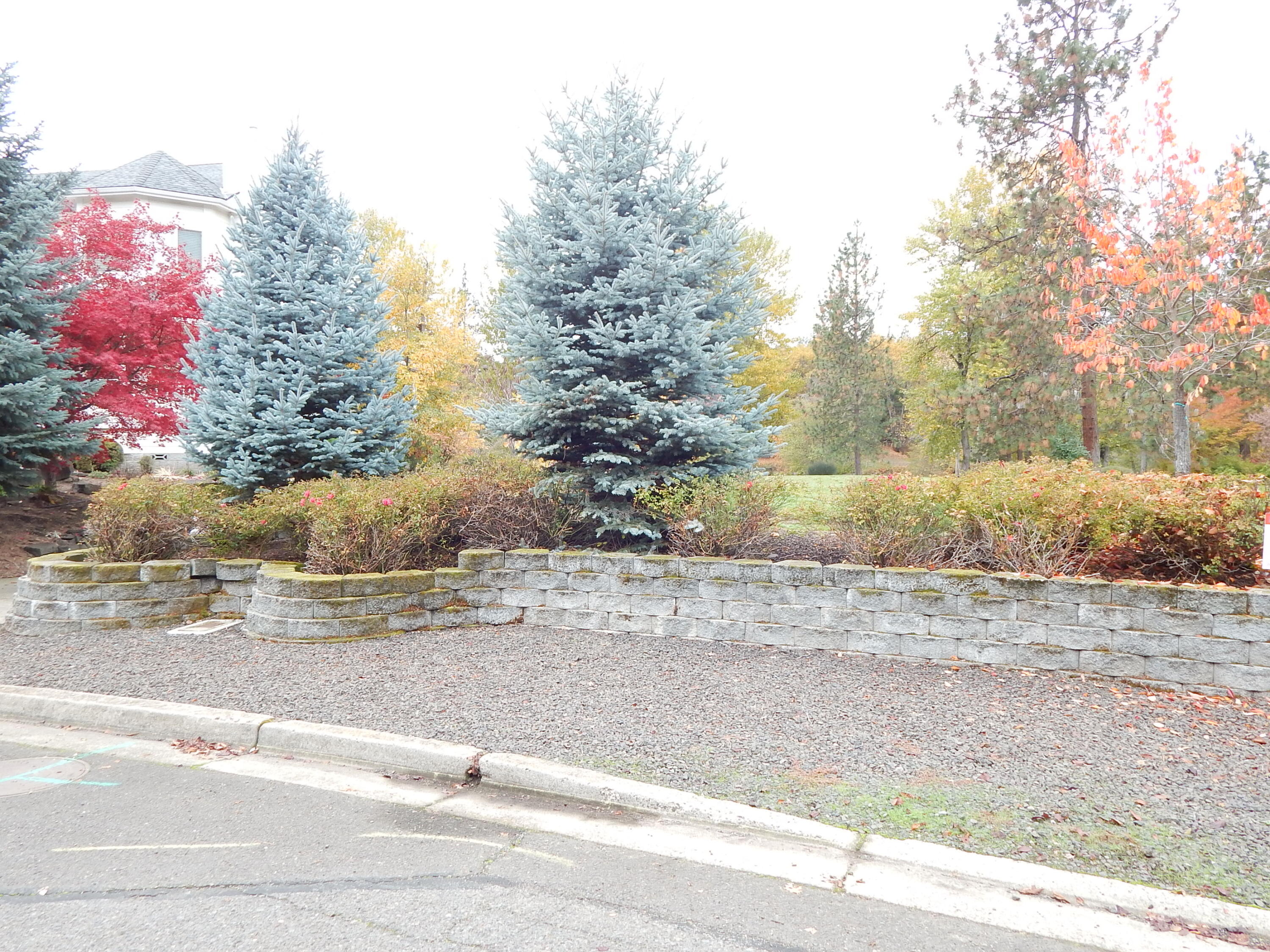 Rogue Riviera Estates - Land