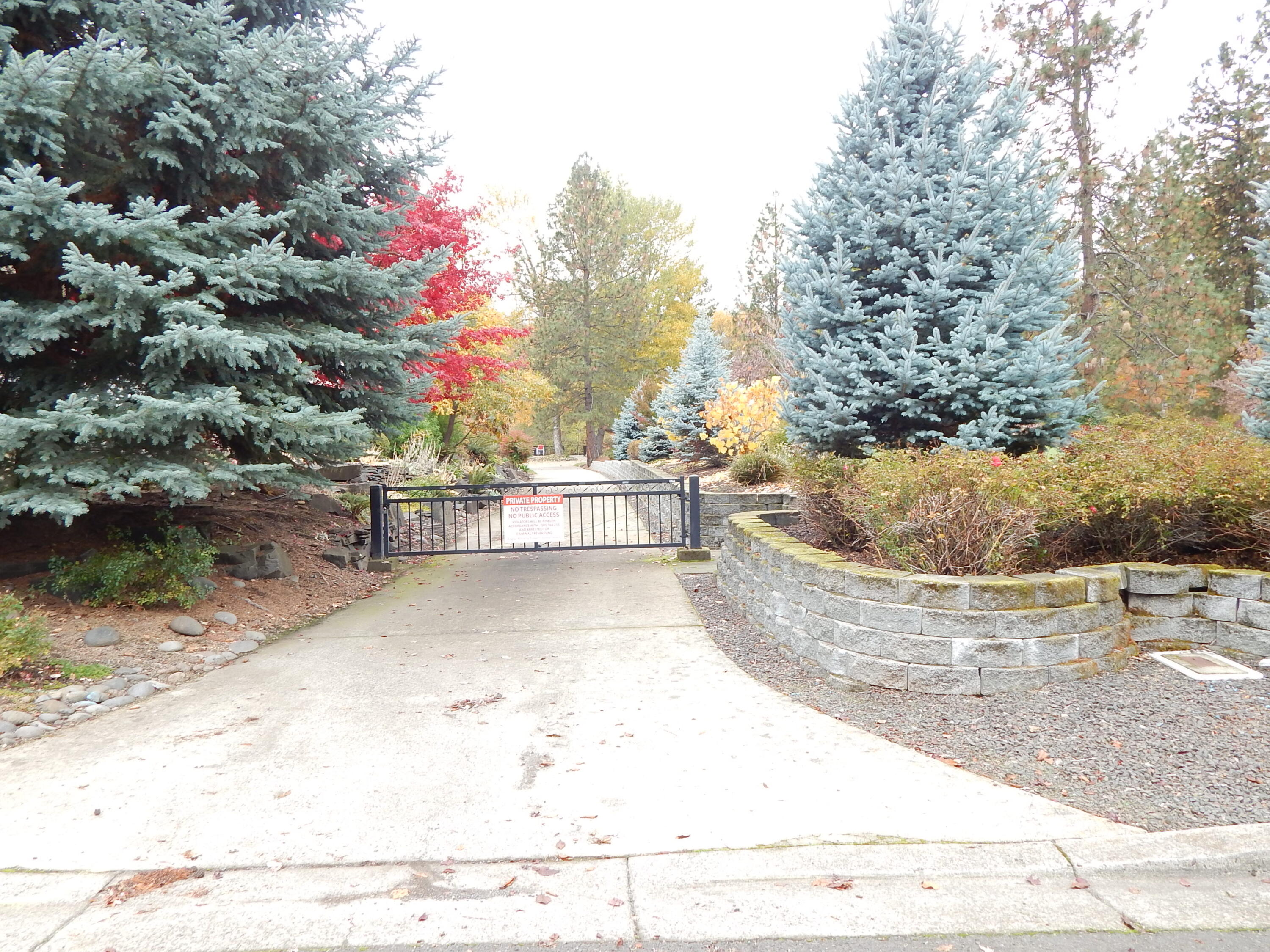 Rogue Riviera Estates - Land