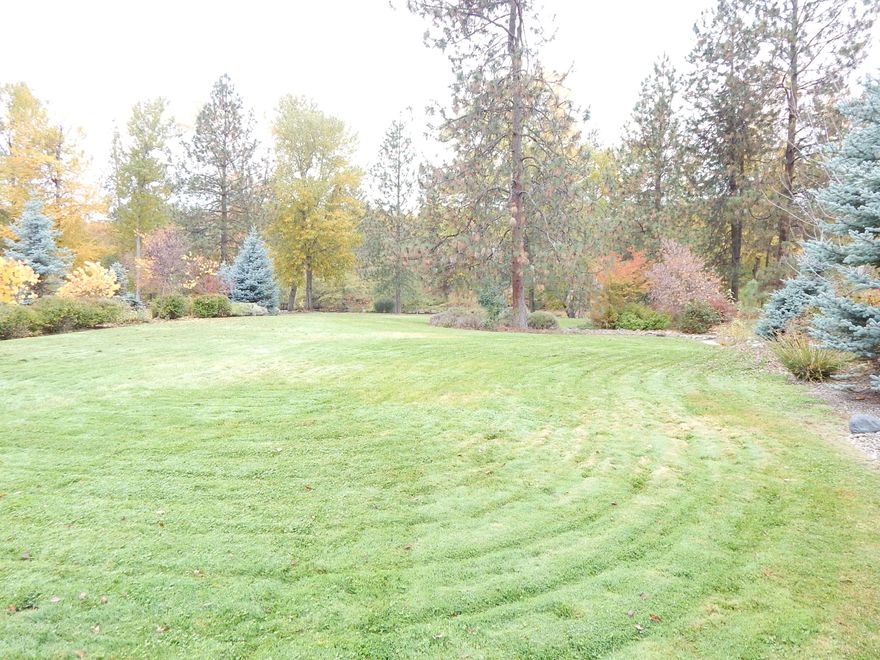 Premier residential lot on the Rogue River! One of the last ones in town. Located in highly desired neighborhood of the Rogue Riviera Estates. This lot is .79 of an acre, all utilities are at the lot. Currently the HOA fees are only $20.00 per month until your dream home is built, then go to $60.00 per month (Check current rate at time of purchase). OCA, 10% down, 6%, 5 years.