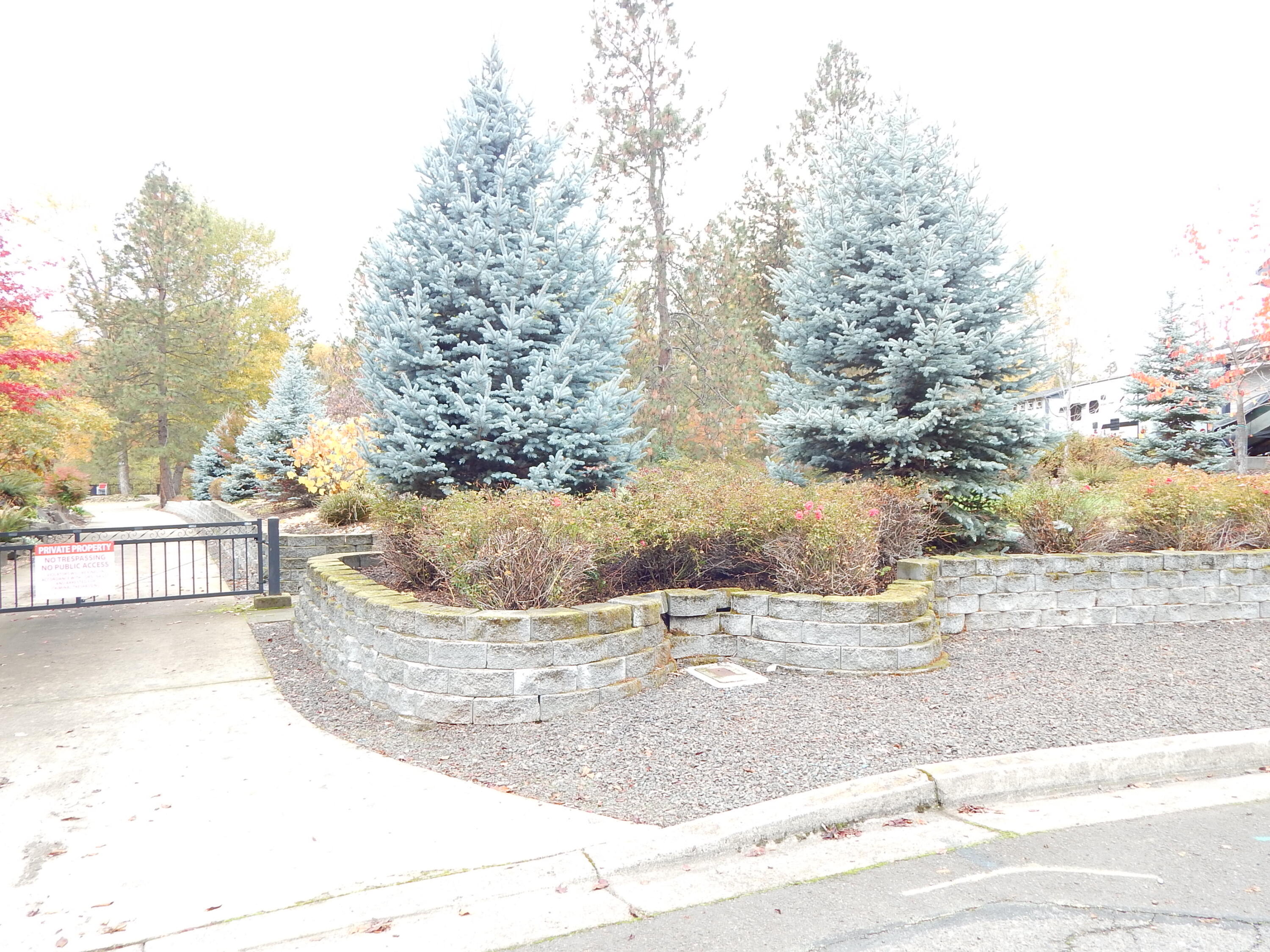 Rogue Riviera Estates - Land