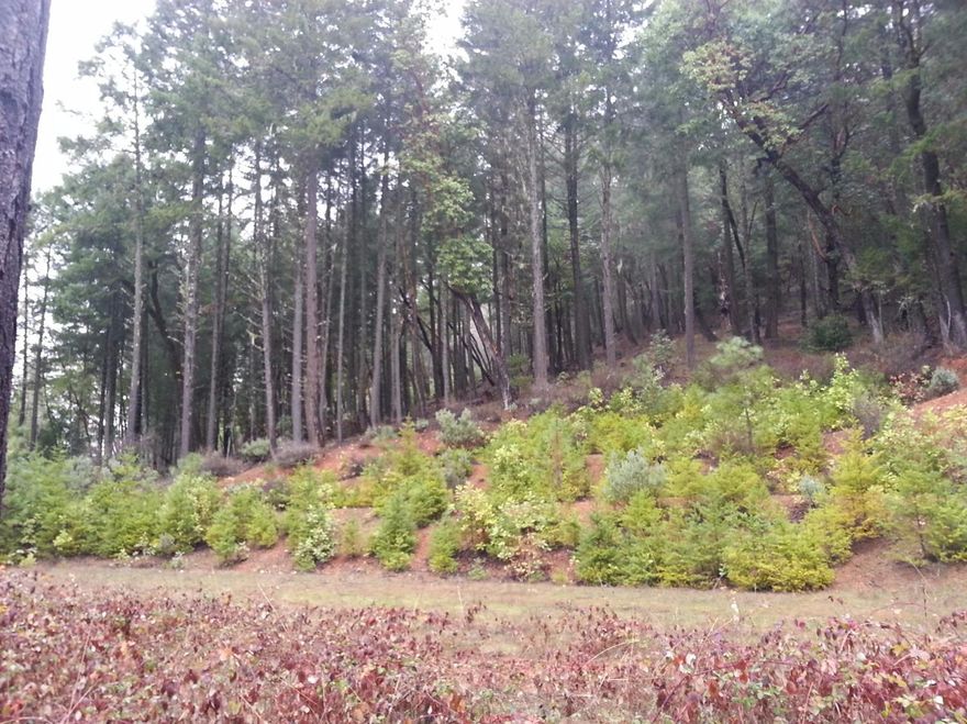 Home site located on a 10.74 acre hill side with great views of the North Valley. Partially improved with a 3 GPM well, and electricity to the property line. All information is deemed reliable but not verified. Anyone considering purchasing this property should perform their own investigation into the uses and condition of the property.