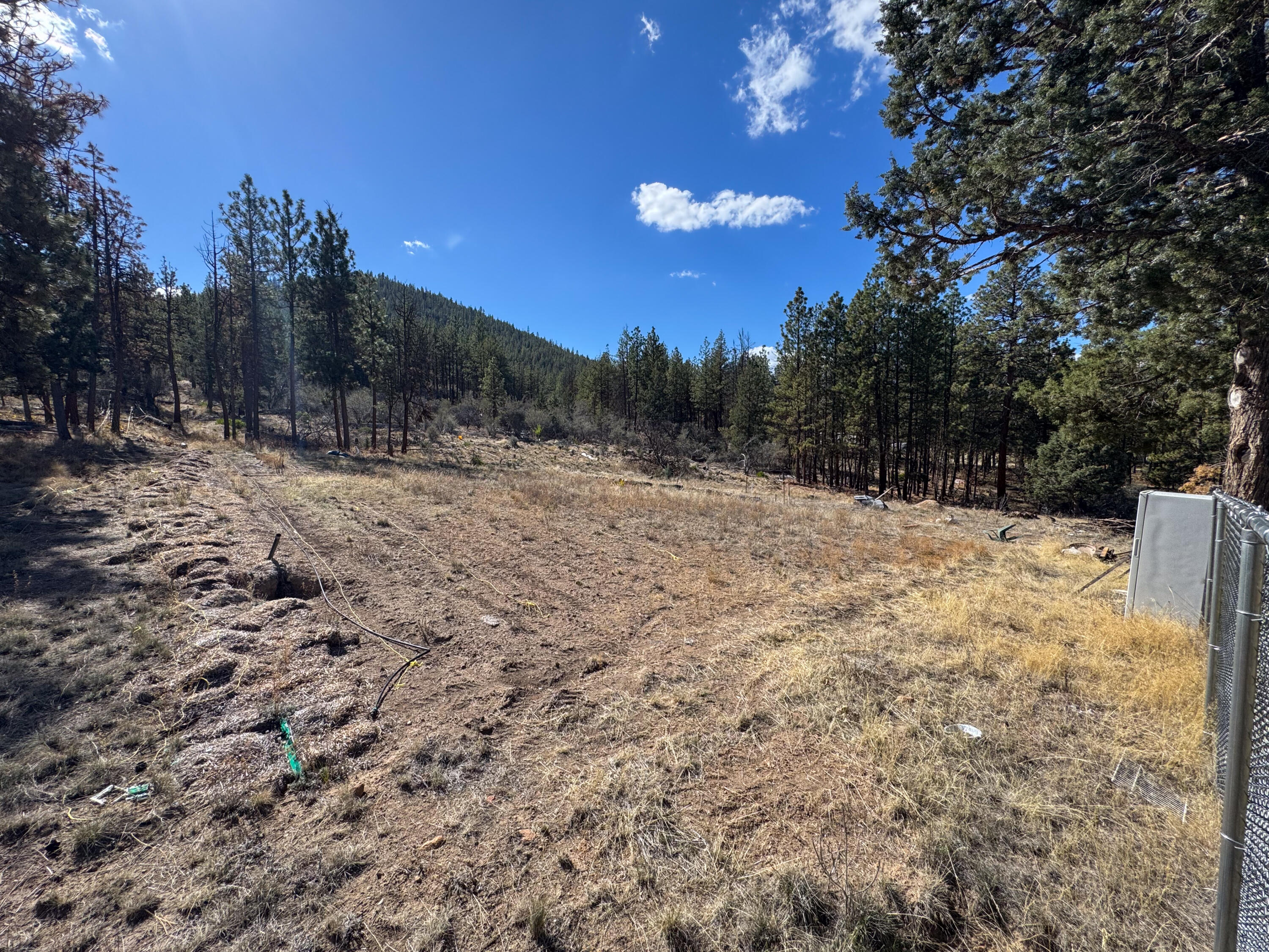 Ferguson Mountain Pines - Residential