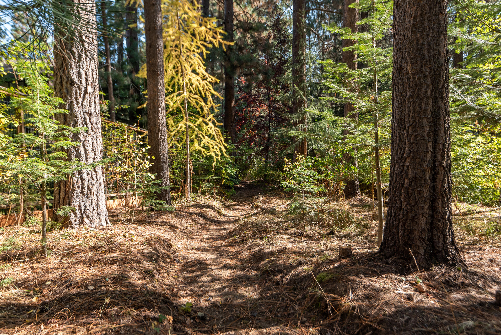 Valley Ridge Acres - Residential