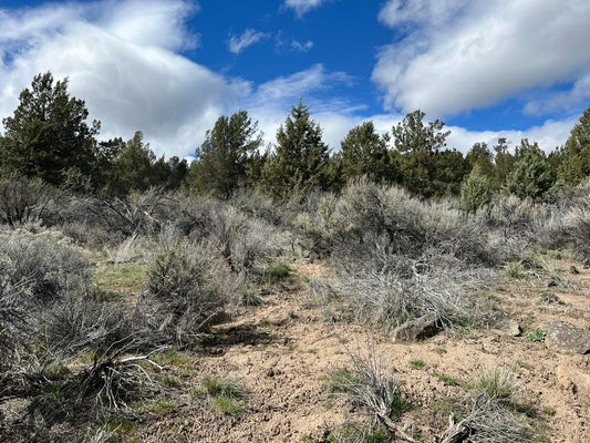 SHASTA WAY, KLAMATH FALLS, OR 97601 - Image c529d1507a70484b137b8a26faa2c8ab/941993467