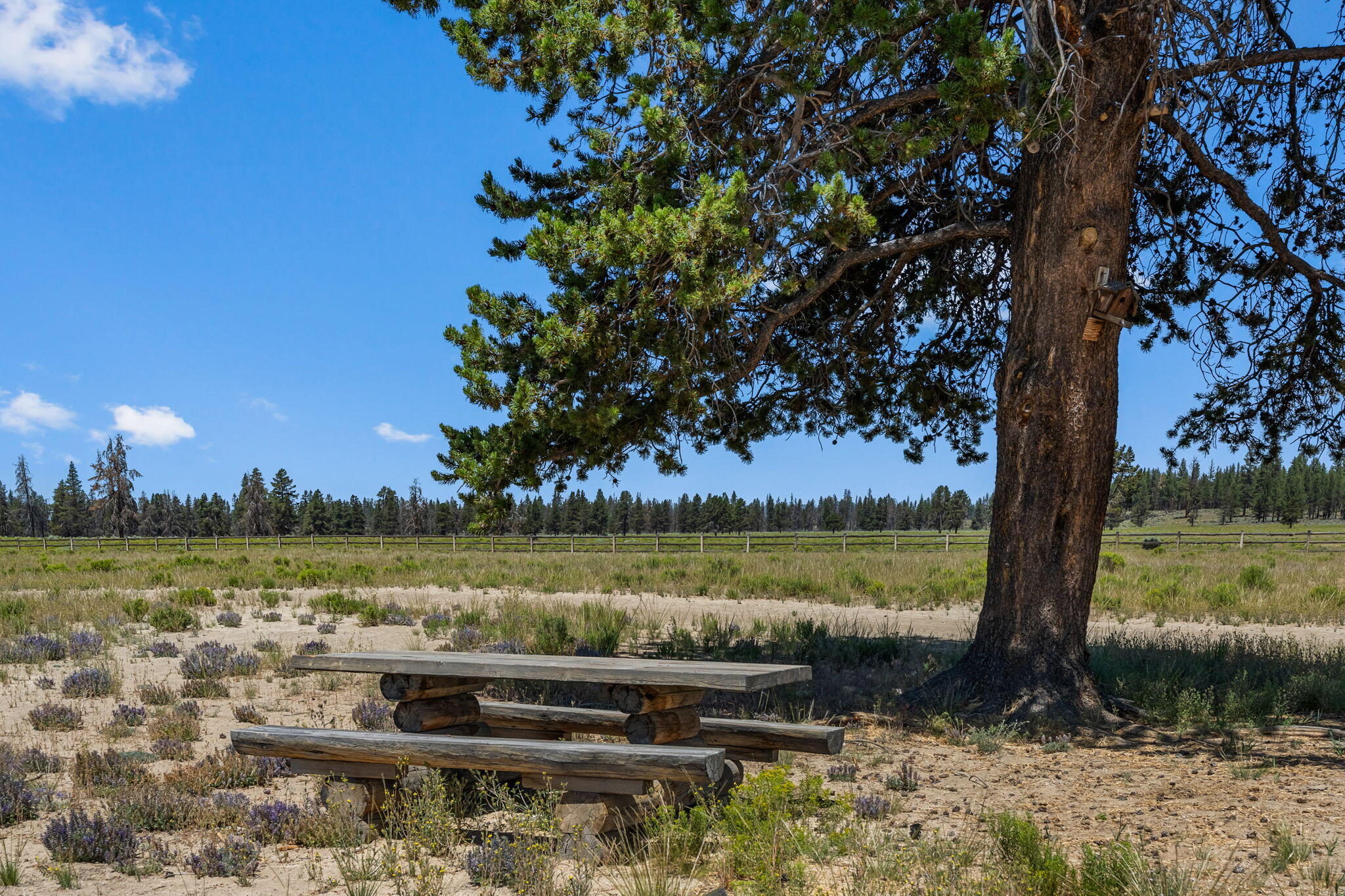 Lake County - Residential