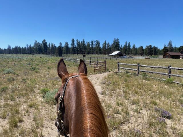 Lake County - Residential