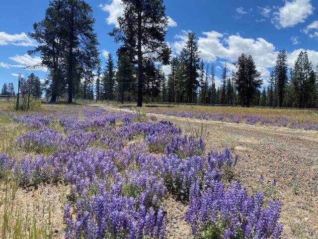 Lake County - Residential