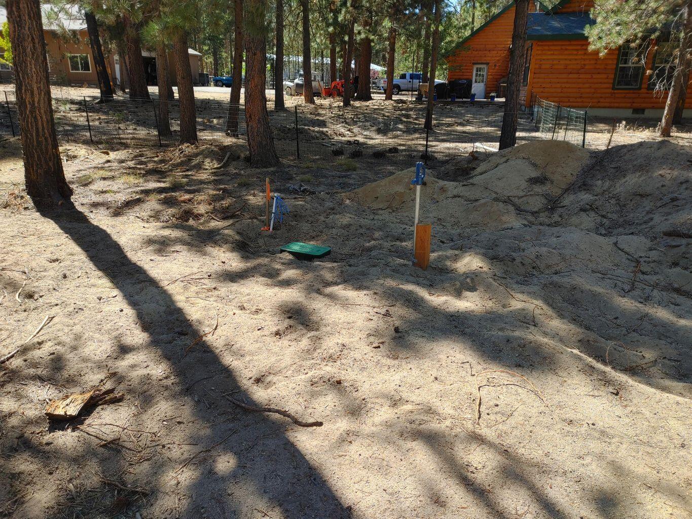 Ponderosa Pines - Land