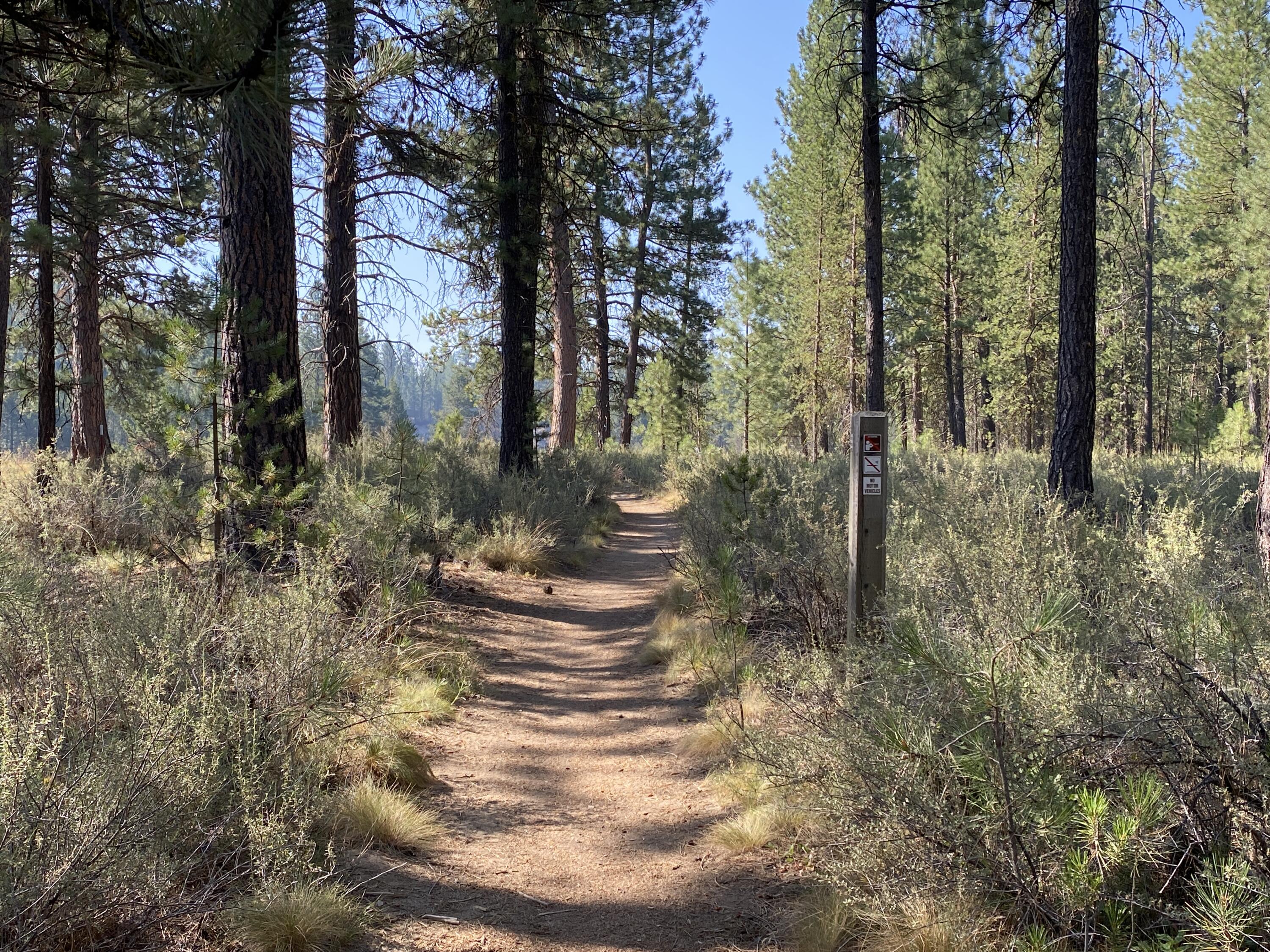 Drrh Trs - Residential