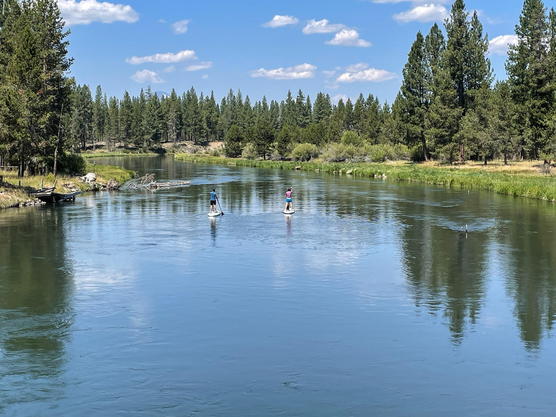 Drrh Trs - Residential