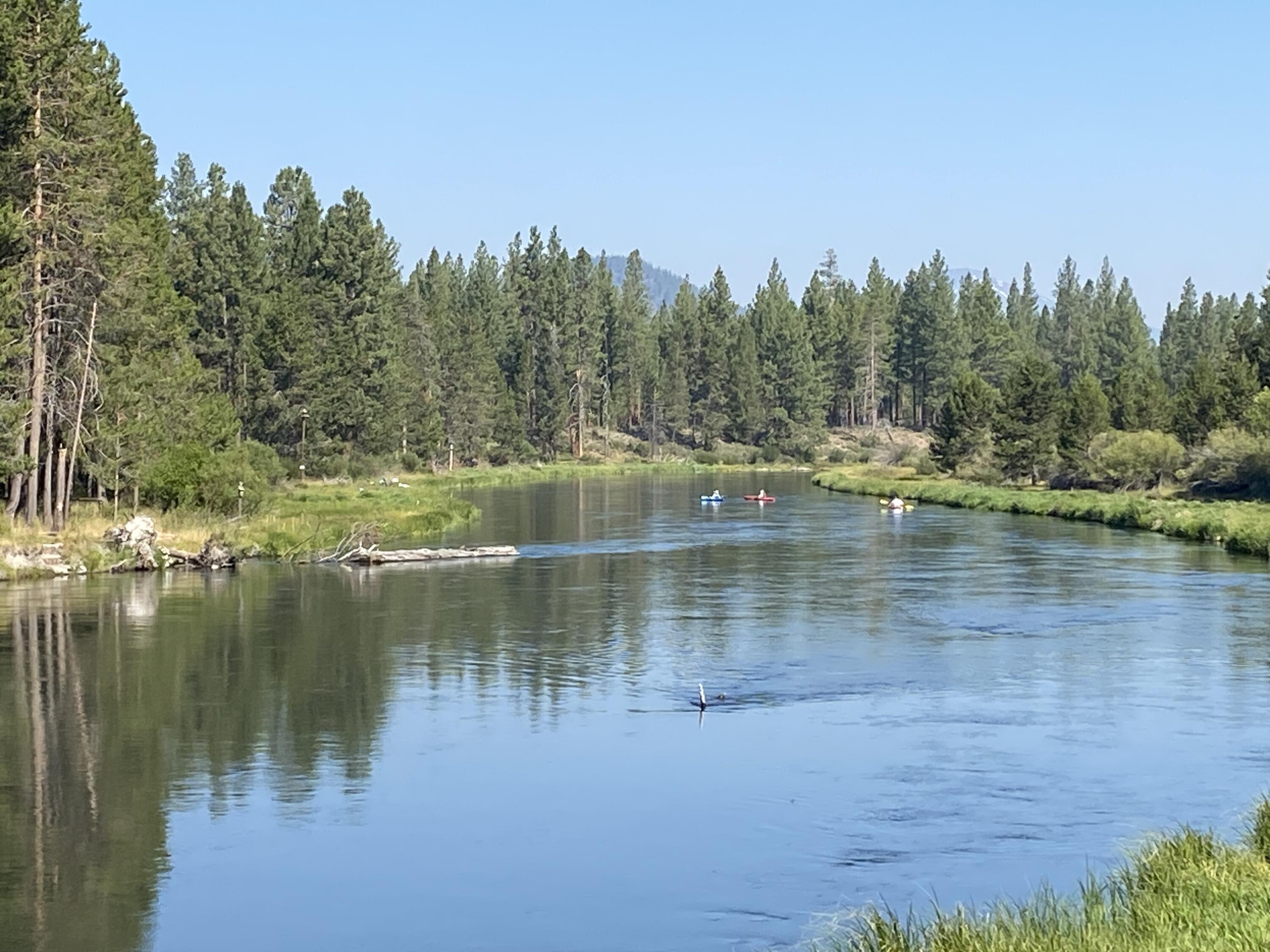 Drrh Trs - Residential