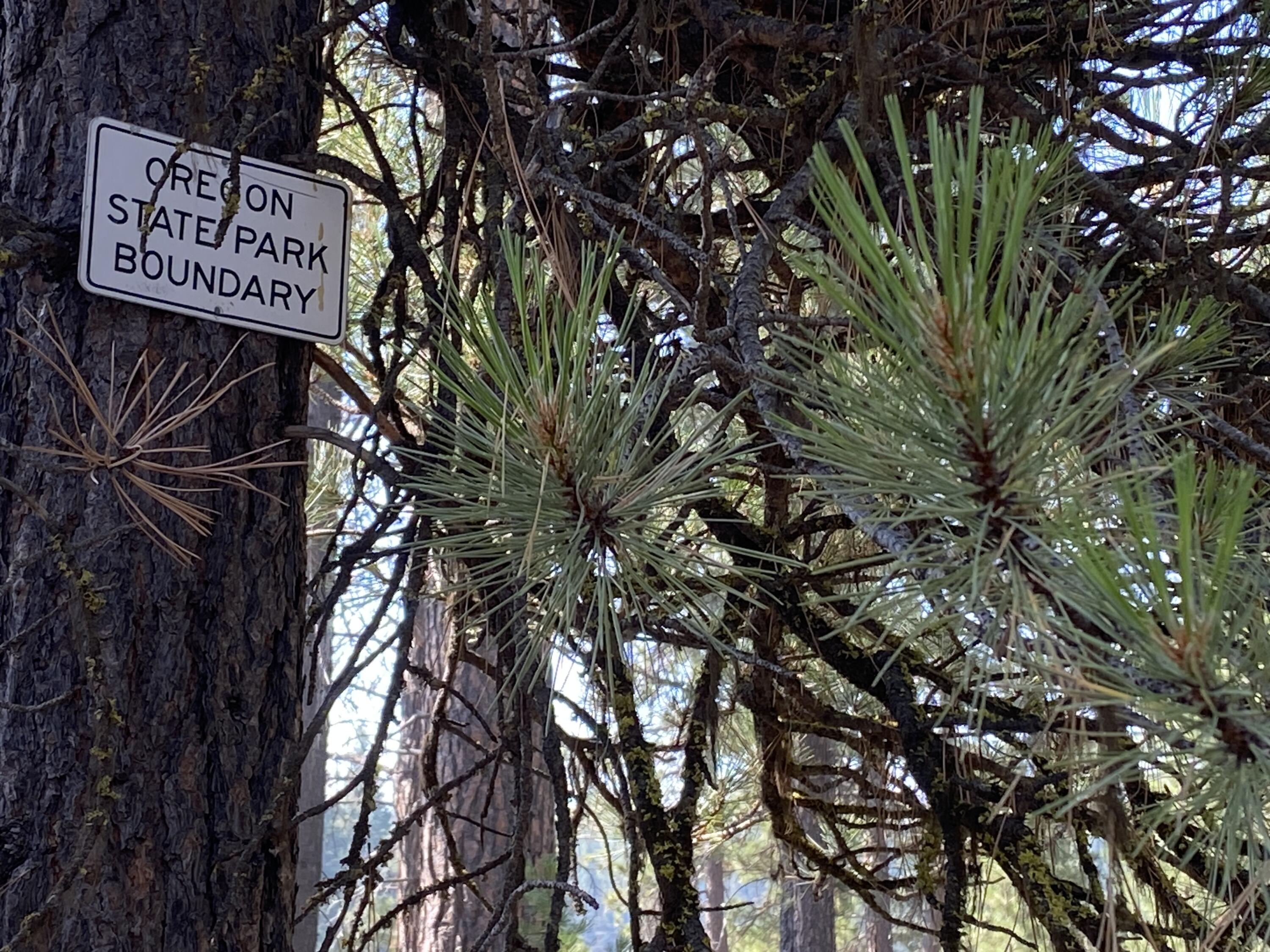 Drrh Trs - Residential