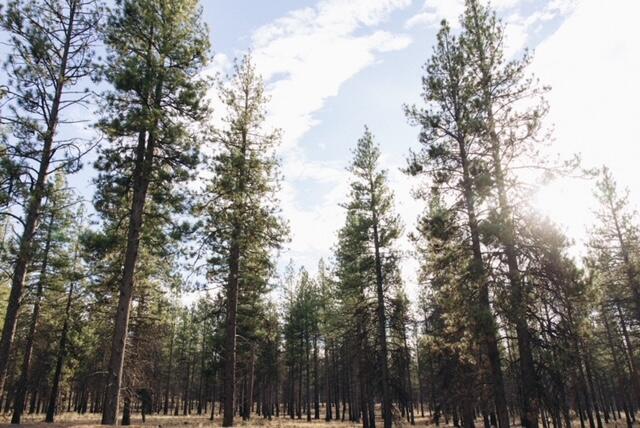 Powder Village Condo - Residential