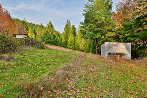 Tiny photo for 1480 Bridge Lane, Wolf Creek, OR 97497 (MLS # 220211971)