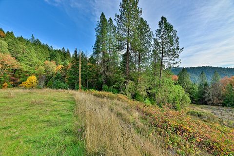 Tiny photo for 1480 Bridge Lane, Wolf Creek, OR 97497 (MLS # 220211971)