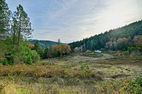 Tiny photo for 1480 Bridge Lane, Wolf Creek, OR 97497 (MLS # 220211971)