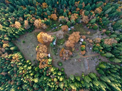 Tiny photo for 1480 Bridge Lane, Wolf Creek, OR 97497 (MLS # 220211971)