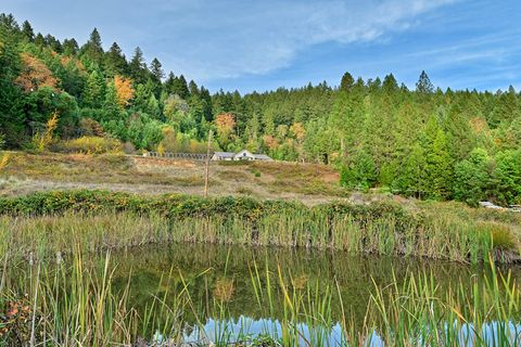 Tiny photo for 1480 Bridge Lane, Wolf Creek, OR 97497 (MLS # 220211971)