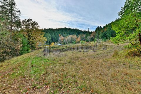 Tiny photo for 1480 Bridge Lane, Wolf Creek, OR 97497 (MLS # 220211971)