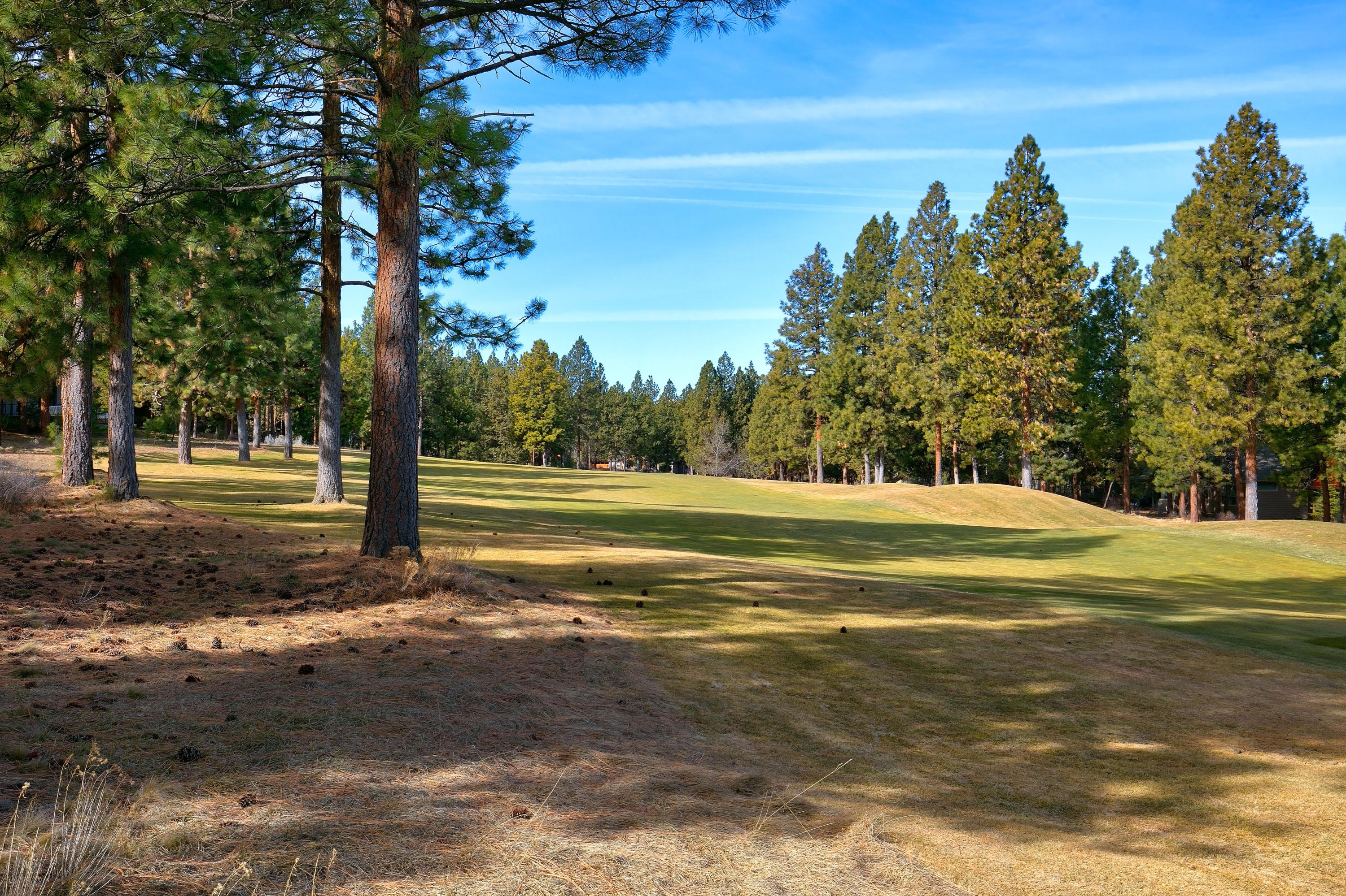 Awbrey Glen - Residential