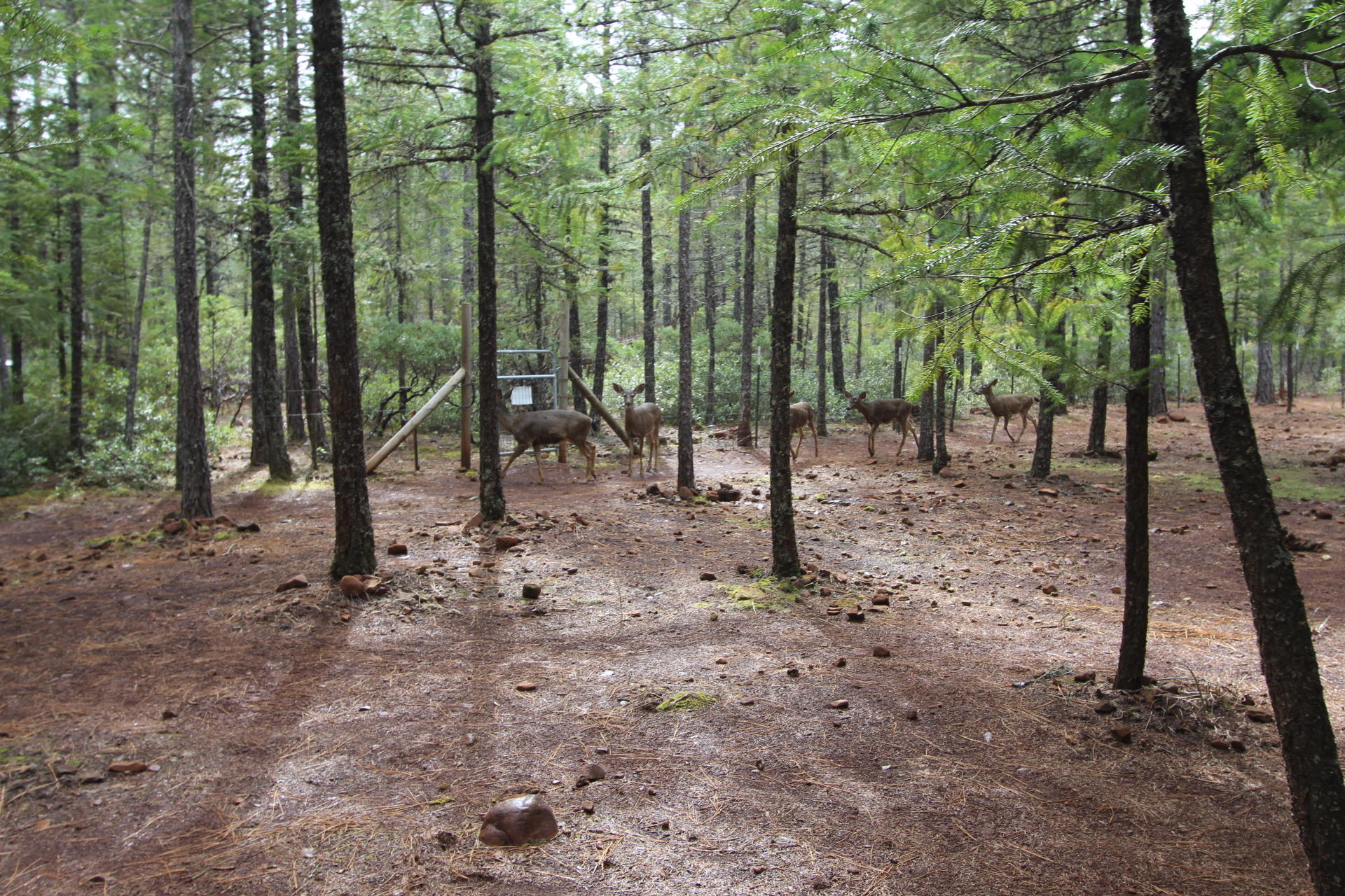 Illinois River Estates - Residential