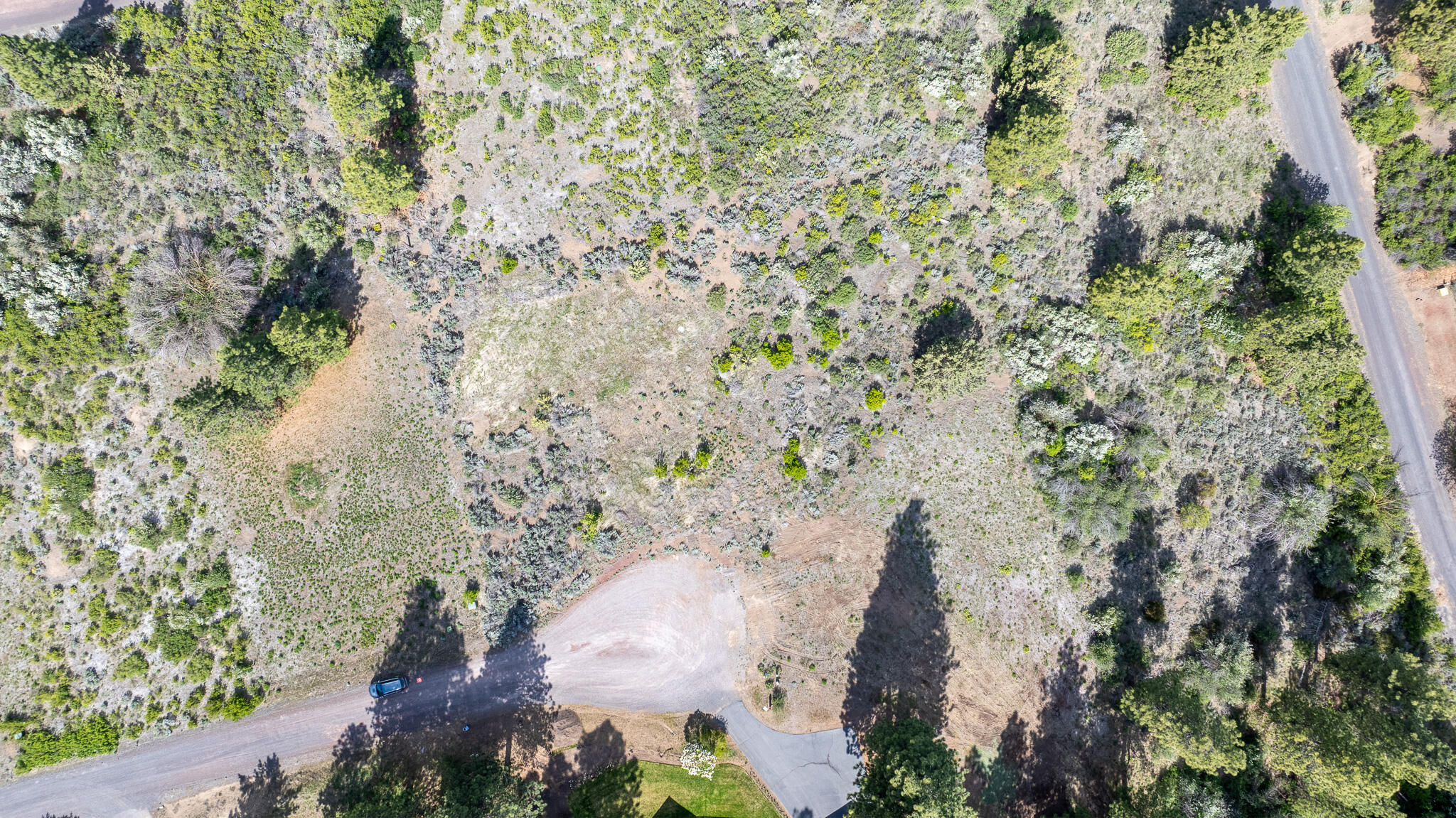 Oregon Shores - Land