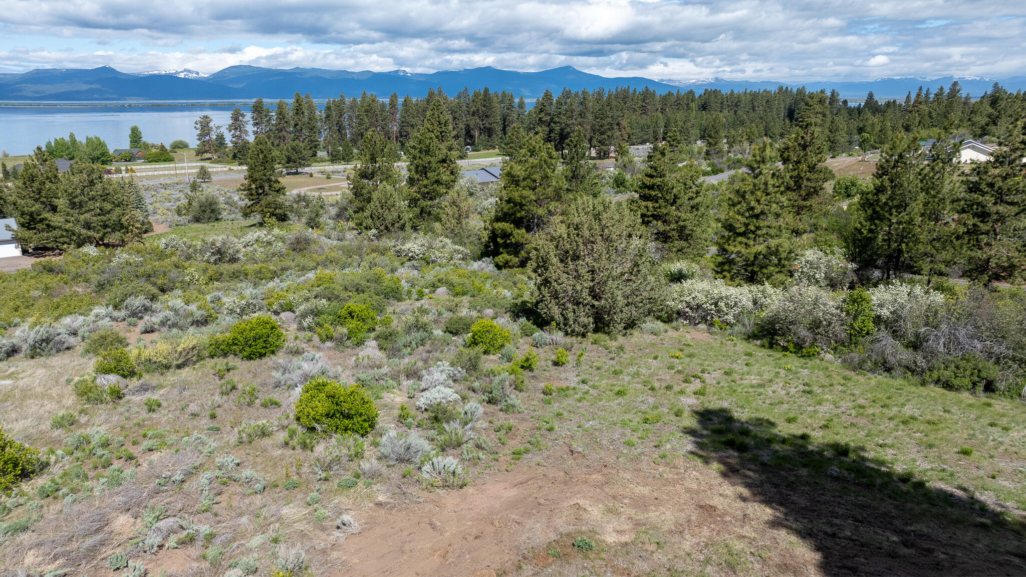 Oregon Shores - Land