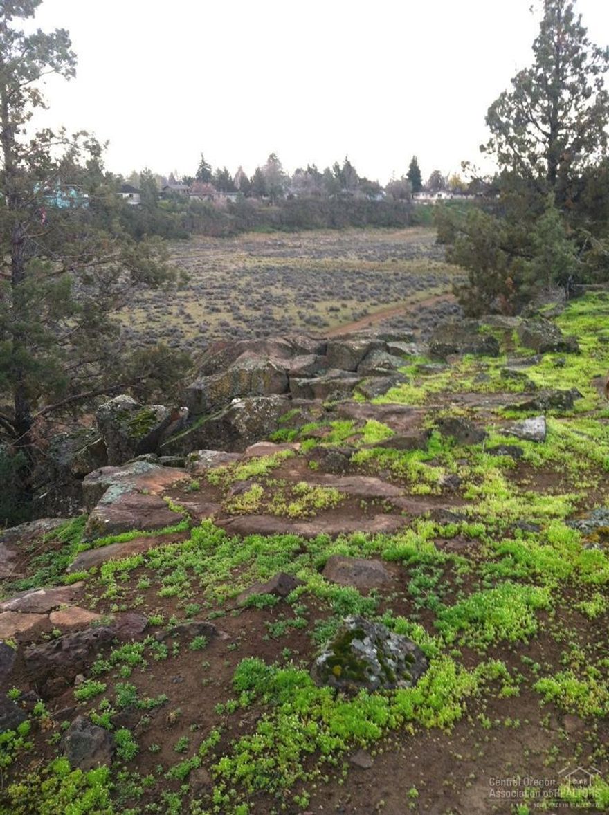 Great Dry Canyon lot in desirable Canyon Rim Village. Nearly quarter acre perched on the canyon rim and ready for your custom home. Great neighborhood and just down the street from the community park and Dry Canyon access. This lot is flat and lends nicely to a one or two story home. If you don't have a builder, long time general contractor RLP Construction, Inc. would build you a beautiful home. Come see this fantastic lot and all the Canyon Rim Village community has to offer!