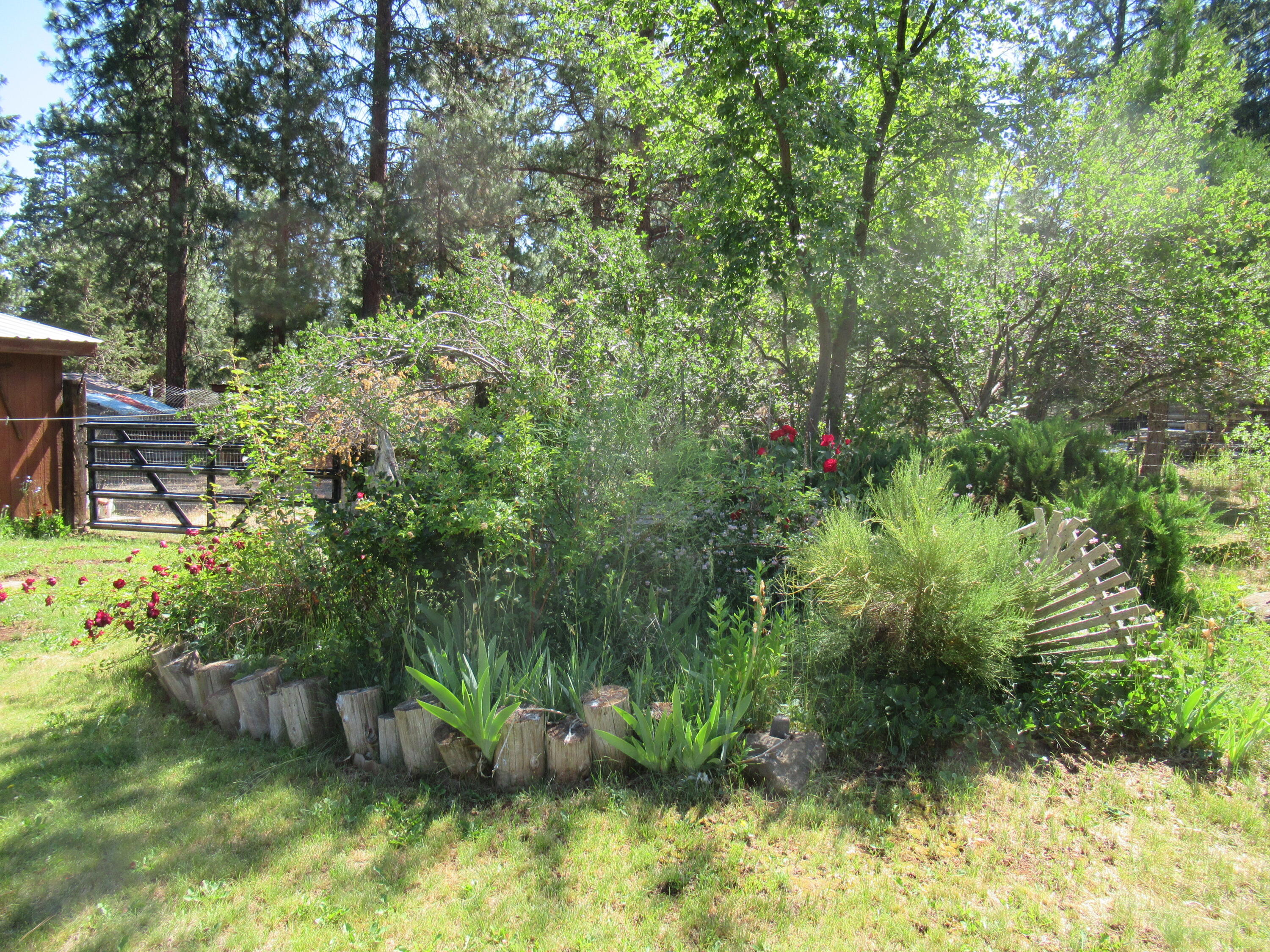 Keno Whispering Pines - Residential