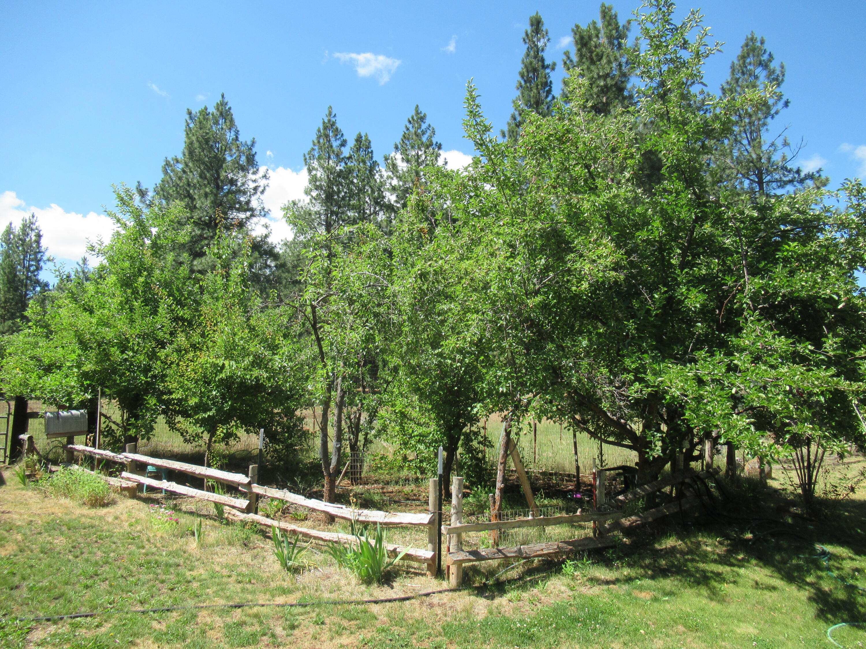 Keno Whispering Pines - Residential