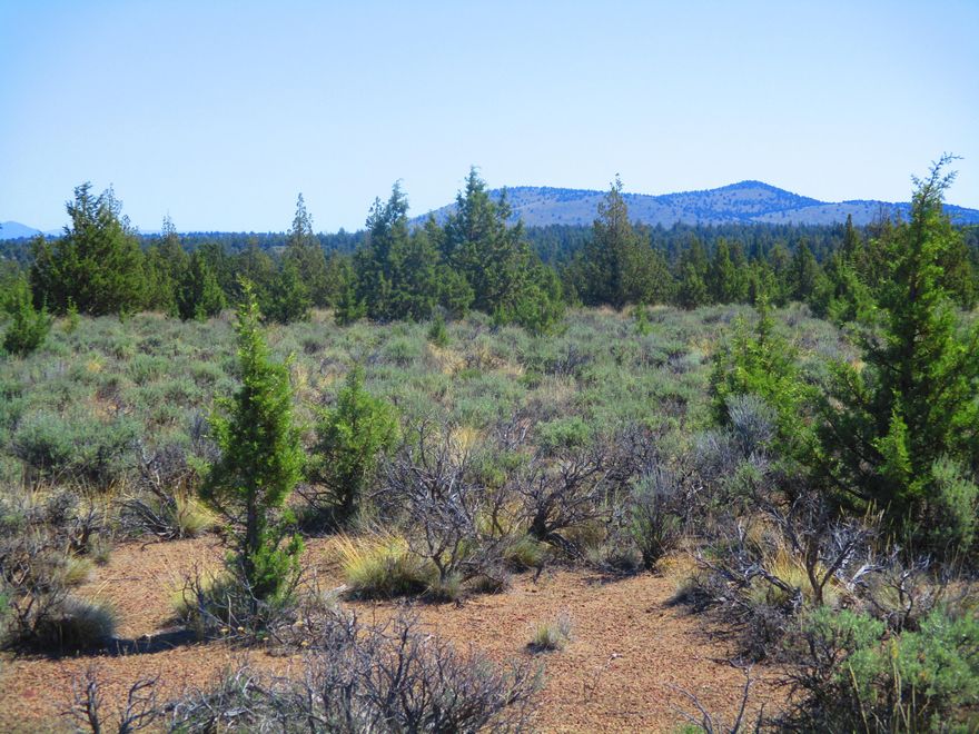 Looking for the perfect recreational property? Well this is it. 10 acres of EFUJA zoned property in the desirable Juniper Acres in Prineville. Off the grid land with Reservoir Road OHV Play area, Four Corners OHV Staging Area, Millican Valley OHV Trail System, and Alfalfa Curves OHV Staging area all close by!  If boating is in your plans you are in luck as Prineville Reservoir is just a short drive away. A great place to check out the amazing sunsets and watch the stars where it is known for stargazing. The perfect spot to set up camp and enjoy nature. So many things to enjoy on this land, too many to list. Escape the hustle and bustle of city life and embrace the tranquility of this enchanting 10-acre off-grid parcel of land. This property offers the perfect opportunity to live sustainably and harmoniously with nature. Don't wait call your favorite realtor to start enjoying this property and making cherished memories! You will Love the endless possibilities this property has to offer