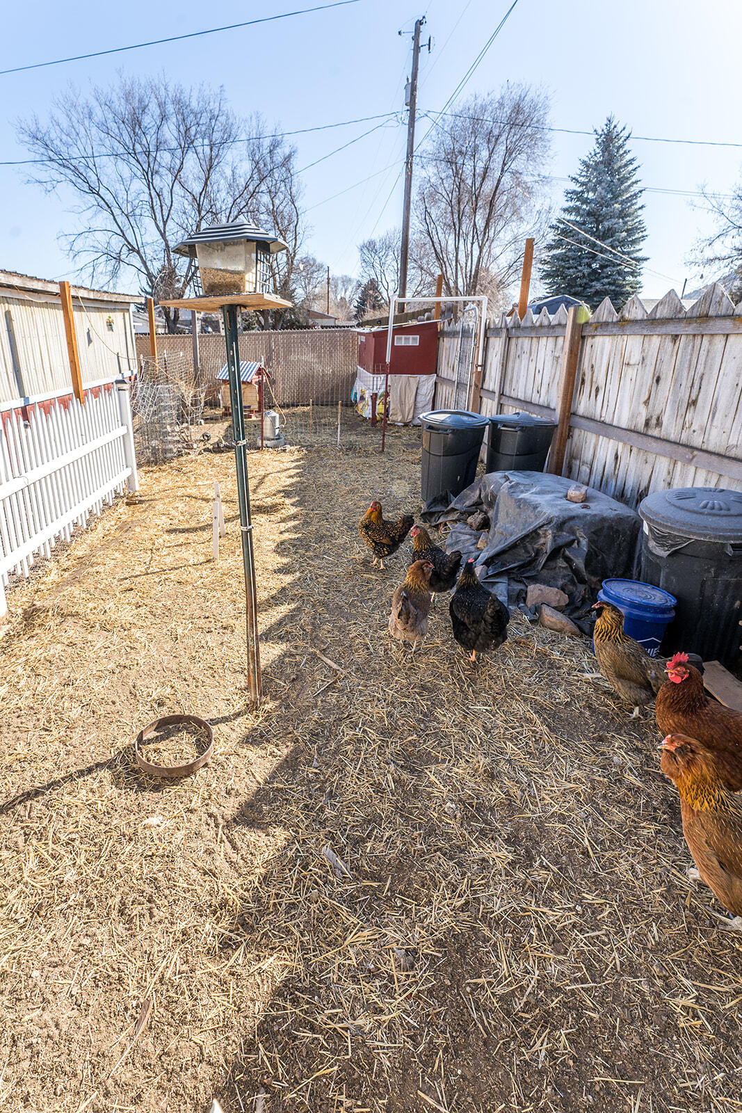 Alexander Hodges - Residential