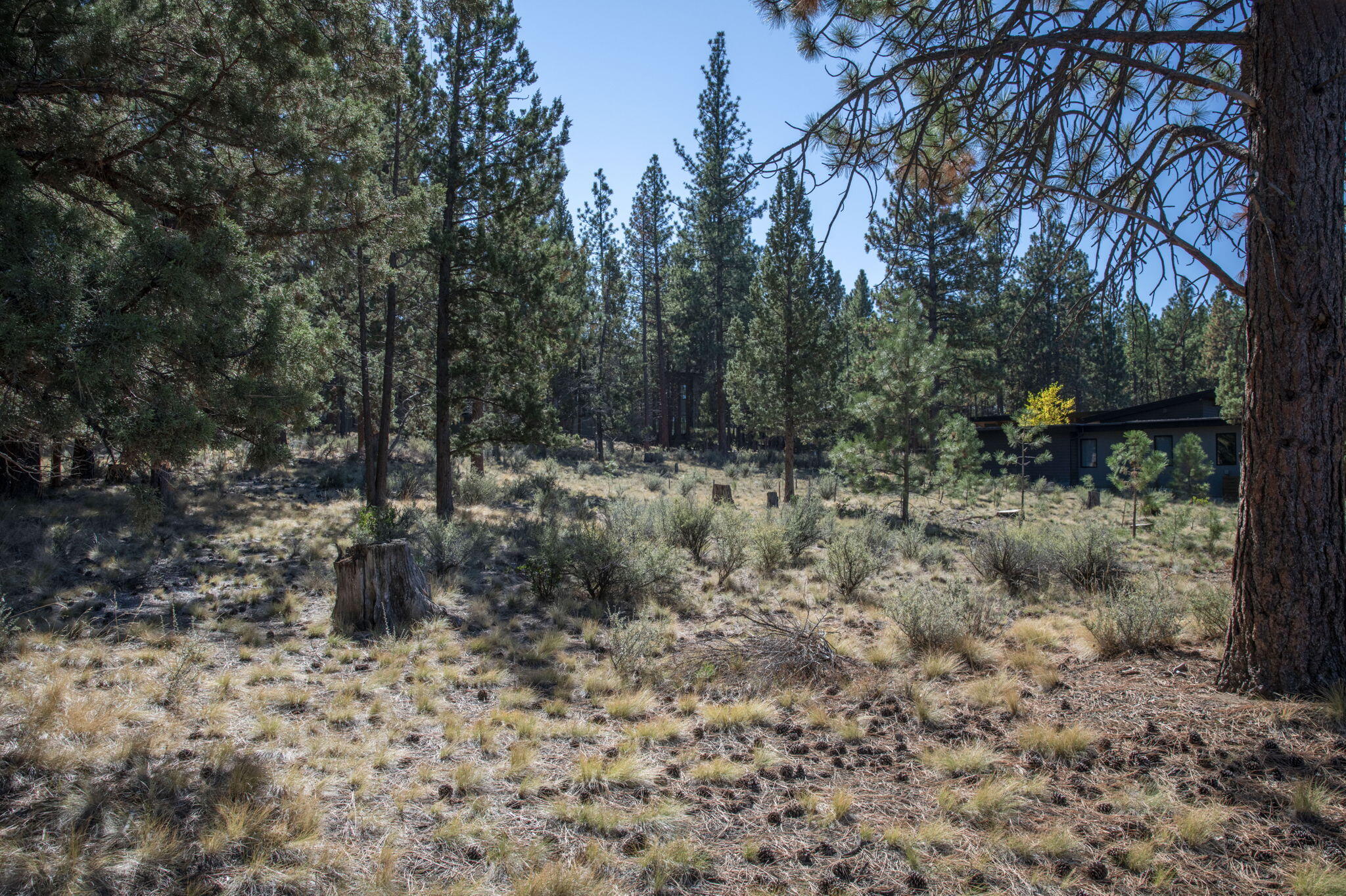 61482 Meeks Trail