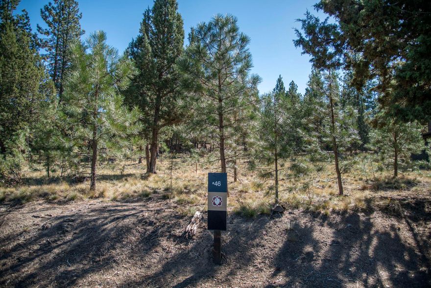 A premium homesite that would make the perfect spot for your custom home in the community of Tetherow. Bordered on two sides by common area, this homesite will feature privacy and serenity. It is also proximate to the homeowners-only pool and spa on Meeks Trail. Mature trees and possible mtn views w/ a second story. Seller has completed home plans, renderings, interior design, & landscaping plans that may be purchased outside of escrow from architect. Outstanding location to enjoy the easy access to Phil's Trail XC Mtn bike trail and the Deschutes National Forest, convenient proximity to the world class resort style living including Tetherow's golf course, a year-round heated pool, clubhouse, fitness facilities, a members-only pool, and restaurants.