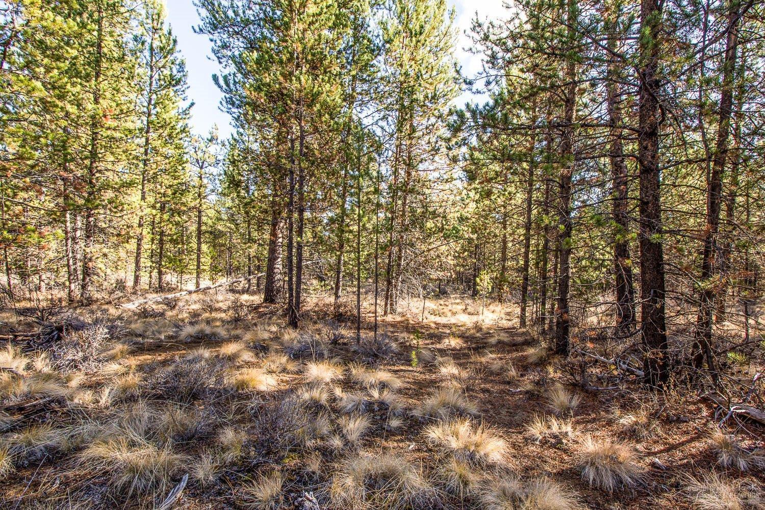 Pinewood Country Est - Land