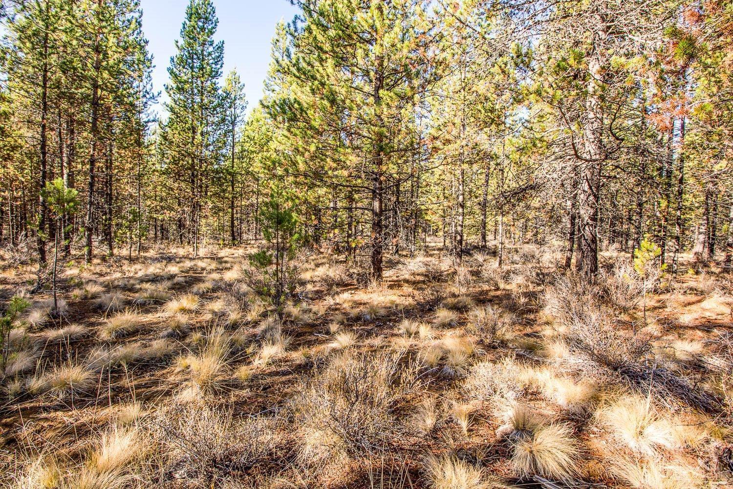 Pinewood Country Est - Land